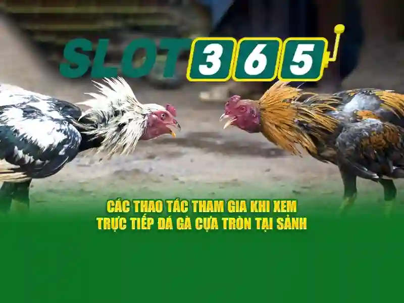 Giao diện nhà cái hoàn hảo
