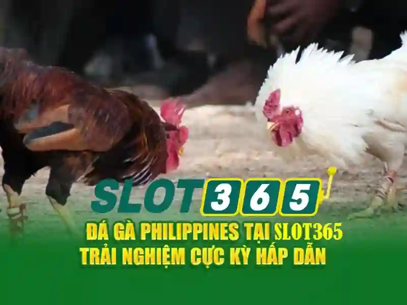 Trải nghiệm Slot365 và các tính năng nổi bật