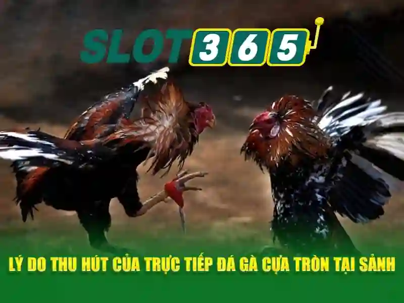 slot365 tải app – Tổng quan chủ đề và giá trị