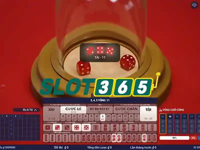 Slot365: Tổng quan về nền tảng cược trực tuyến