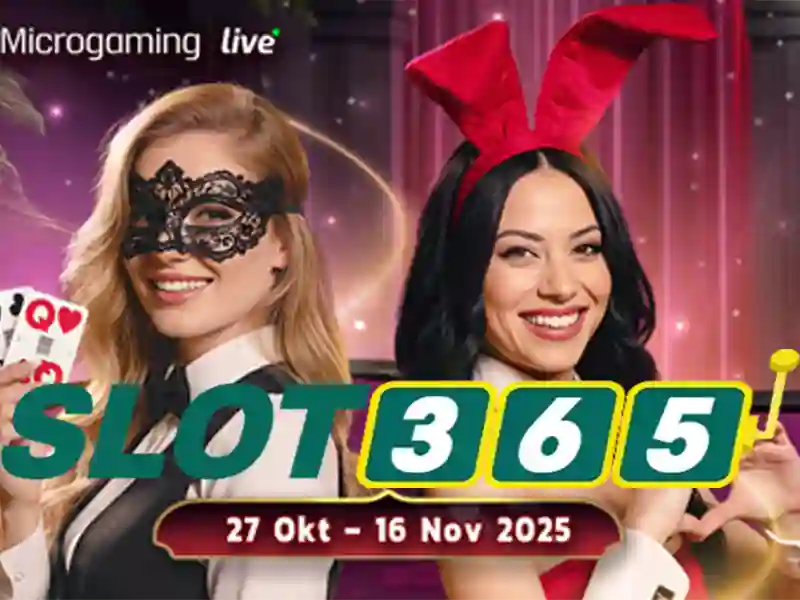 Slot365 và nền tảng chơi slot trực tuyến