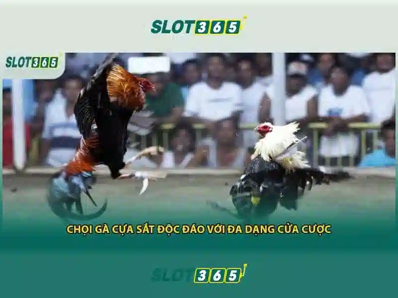 Tong quan tu khoa slot365. com