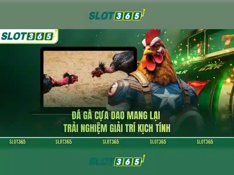 slot365. com – Dẫn đầu trải nghiệm giải trí trực tuyến