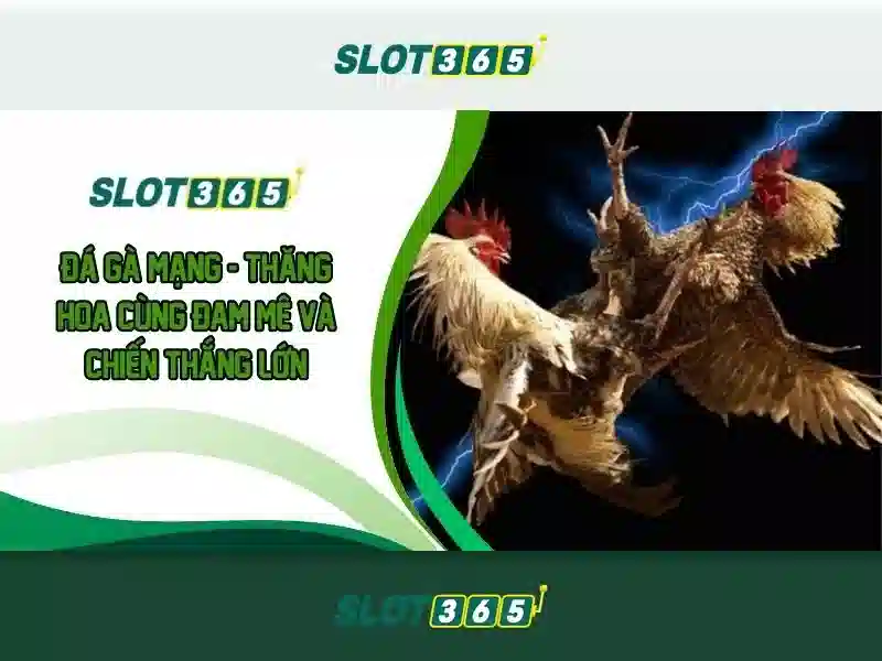 tải app slot365 - trải nghiệm Slot365 miễn phí và an toàn