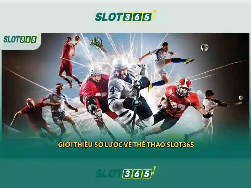 Slot365 - Cổng chơi máy xèng trực tuyến uy tín