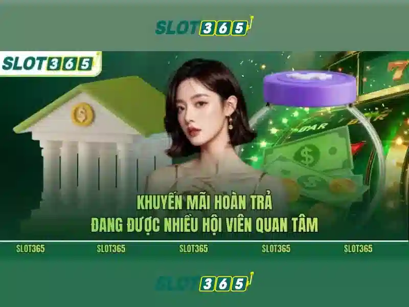 Giao diện người dùng thân thiện và dễ khám phá