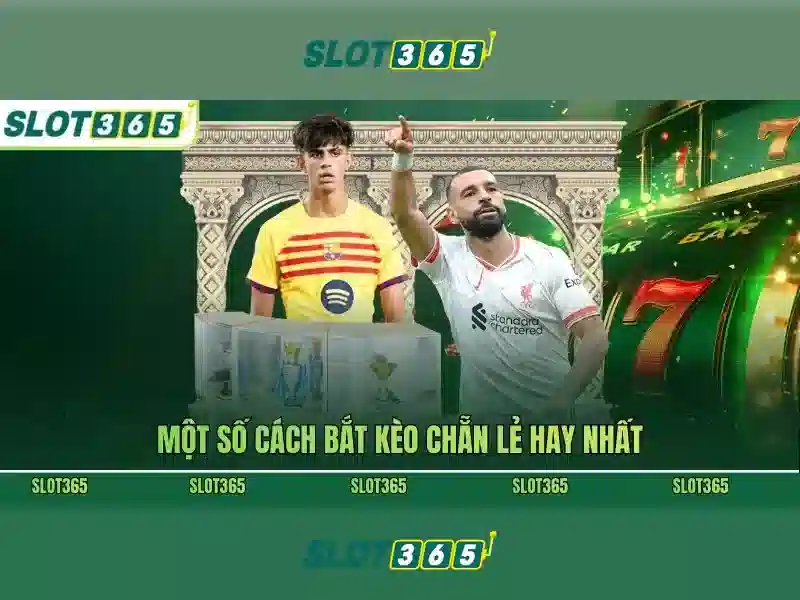 Slot365: Khám phá nền tảng chơi slot trực tuyến đáng tin cậy