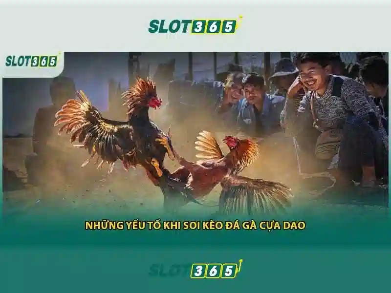 Slot365: Trải nghiệm chơi slot trực tuyến hiện đại