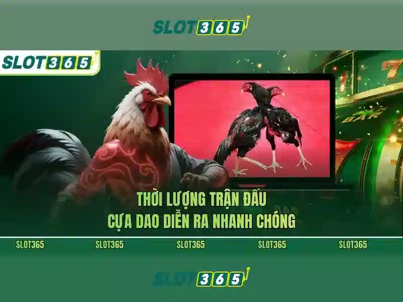 Khuyến mãi và lợi ích cho người chơi