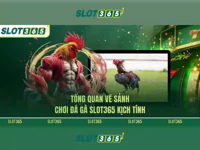 Tổng quan khuyến mãi Slot365 – giá trị cốt lõi