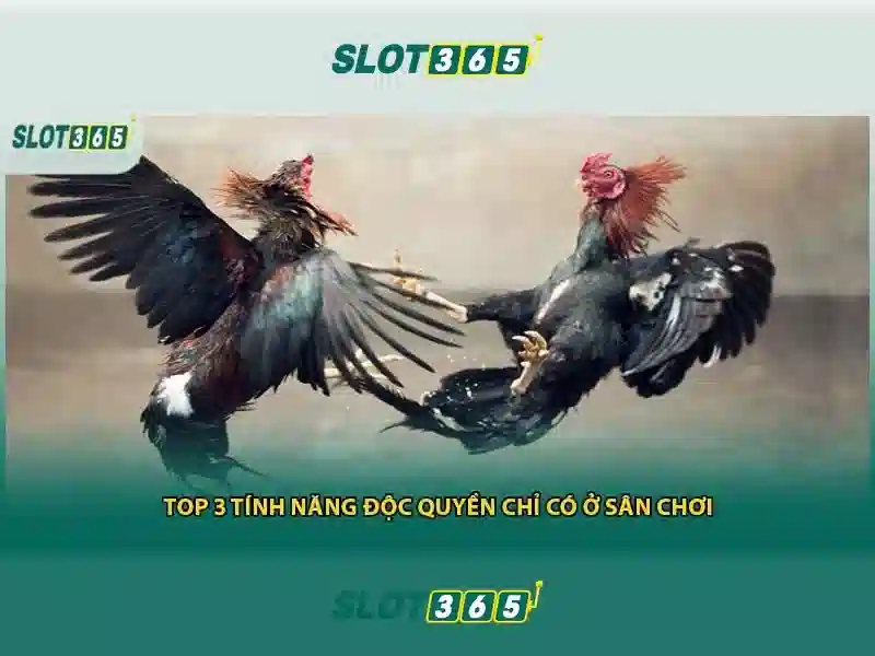 Slot365 - Khám phá nền tảng casino trực tuyến hàng đầu