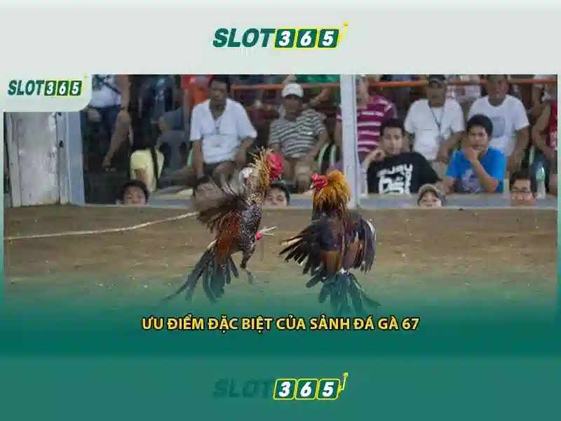 Đánh giá về bảo mật và trải nghiệm người dùng<h>Ưu điểm và khuyến mãi</h>