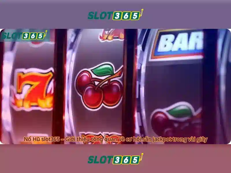 Nguồn gốc và sứ mệnh của hướng dẫn Slot365