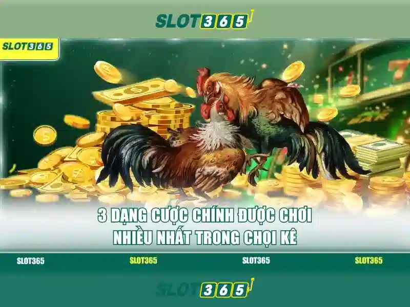 Slot365 – Tổng quan về nền tảng máy xèng trực tuyến