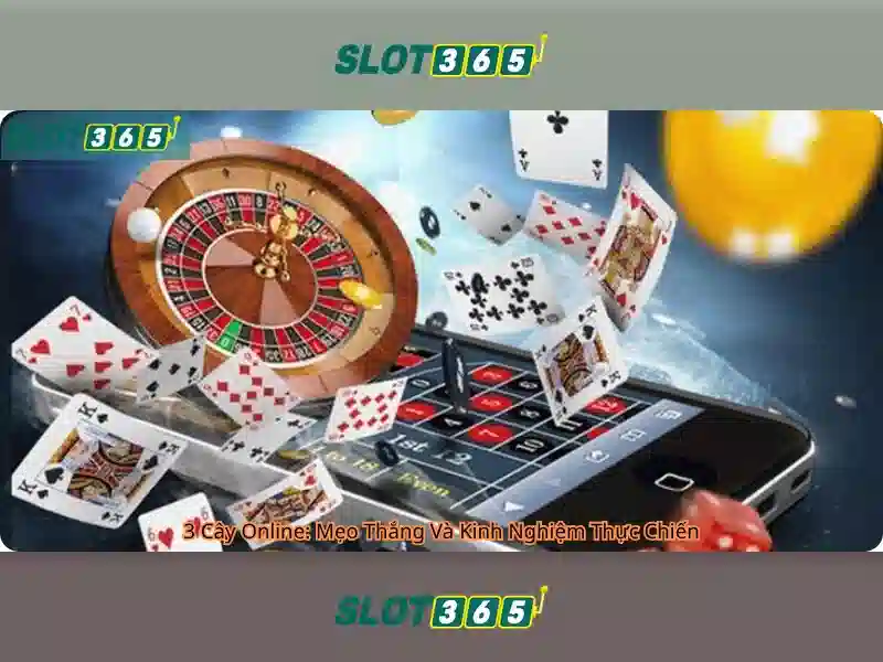 Slot365: Tổng quan về nền tảng cá cược trực tuyến