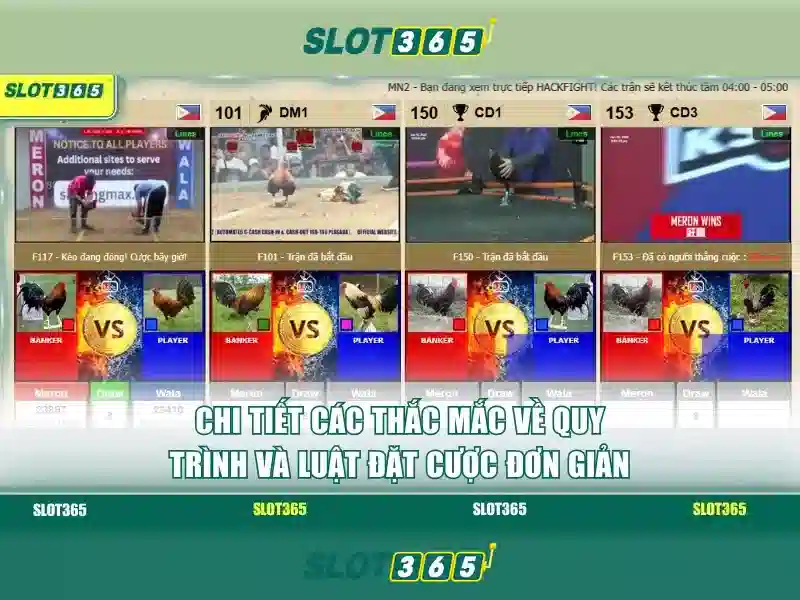 Slot365: Trải nghiệm slot trực tuyến an toàn và thú vị