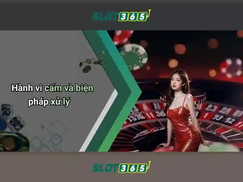 Giao diện và trải nghiệm người dùng