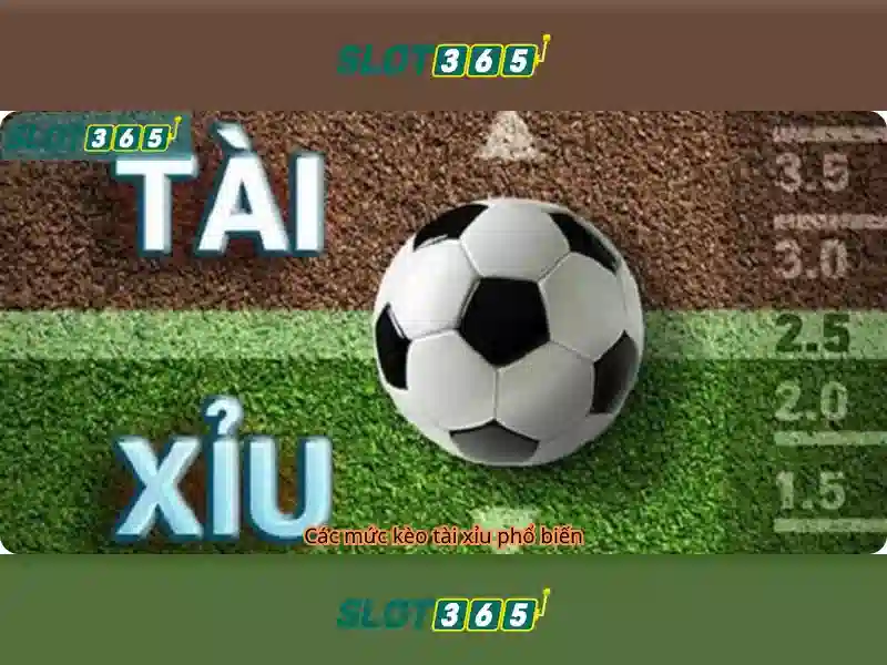 Slot365 - Trải nghiệm casino trực tuyến đỉnh cao