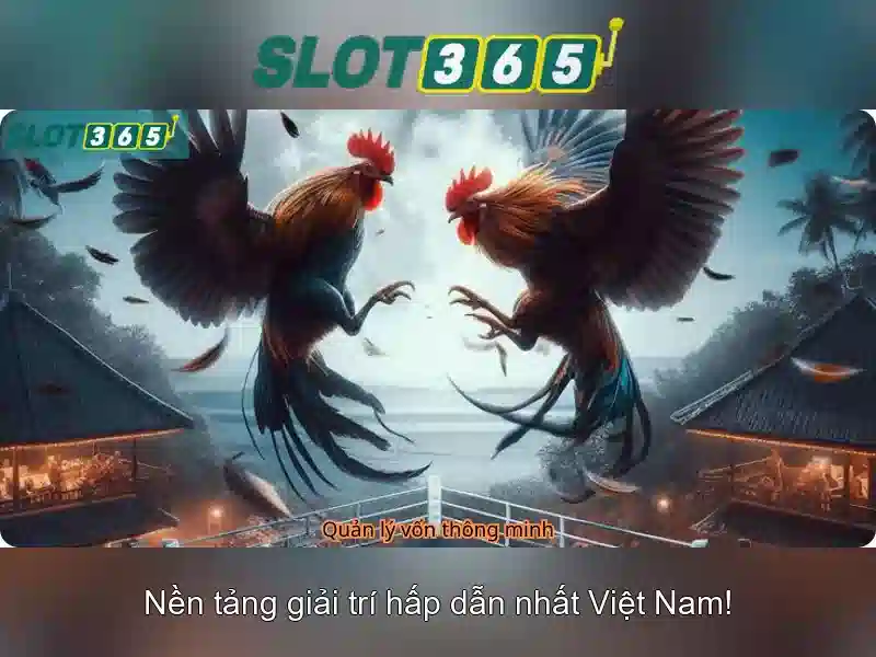 Trải nghiệm người dùng và giao diện