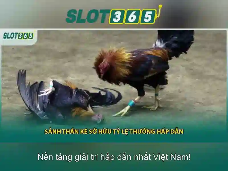 Khuyến mãi và ưu đãi