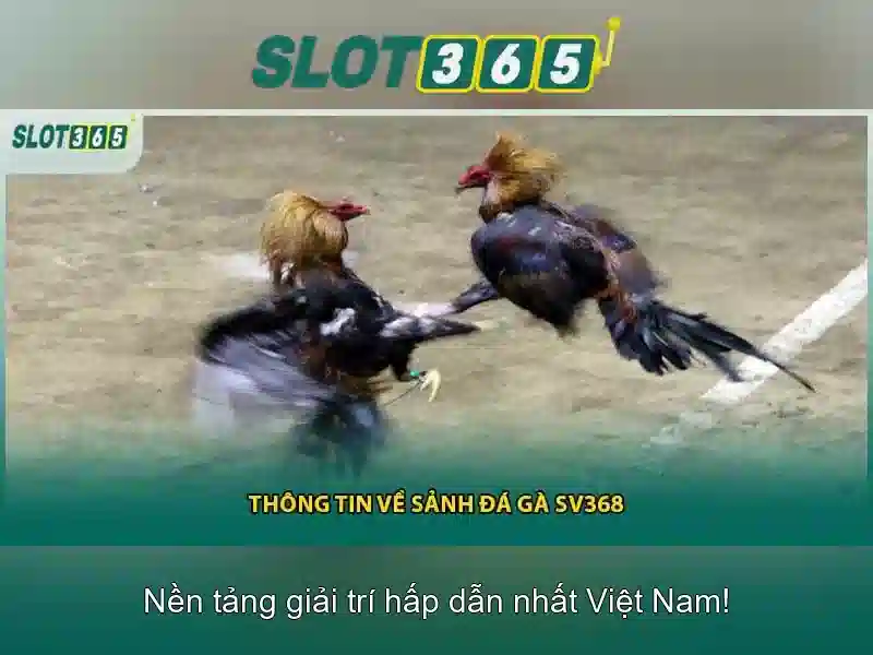 Slot365: Khám phá nền tảng sòng bài trực tuyến hàng đầu