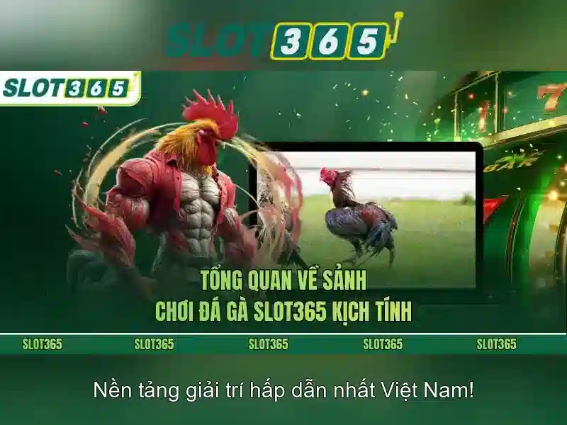 Khuyến mãi và chương trình thưởng