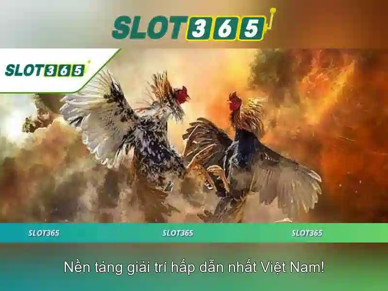 Thanh toán và trải nghiệm người dùng