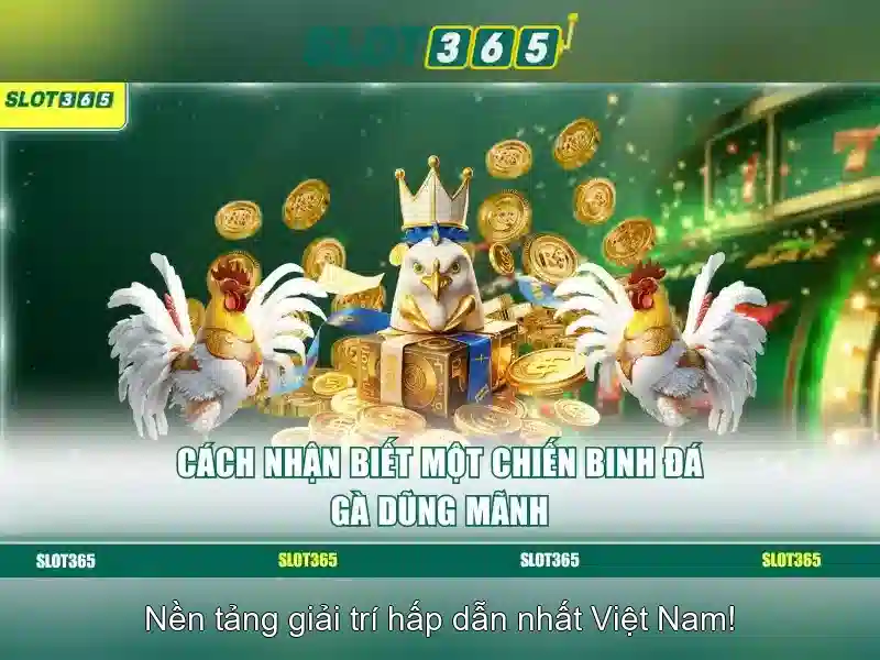 Lợi ích khi chơi slot trực tuyến trên Slot365