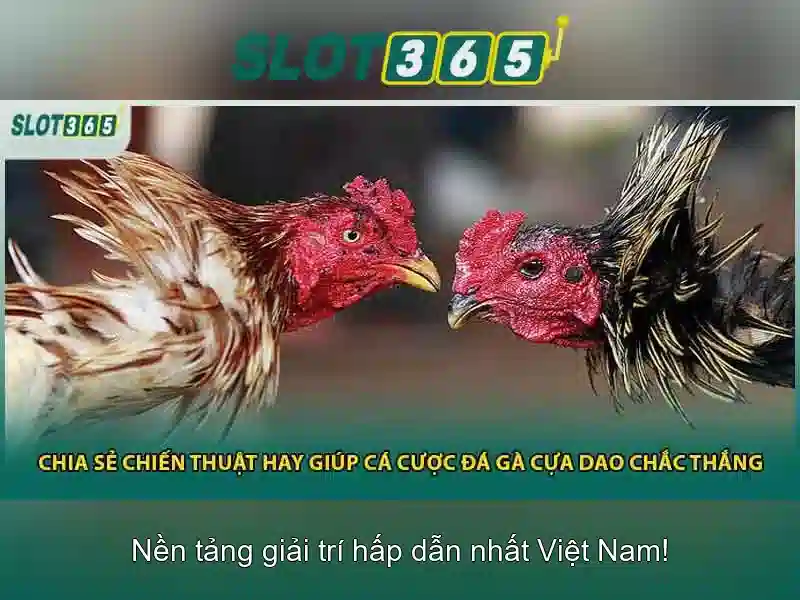 slot365 casino – Trải nghiệm giải trí đỉnh cao và an toàn Giao diện nhà cái hoàn hảo