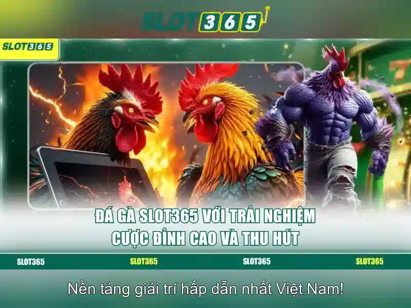 Slot365: Nền tảng slot trực tuyến phổ biến và an toàn