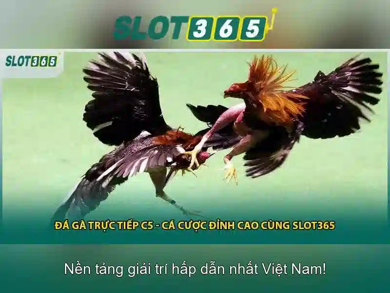 Giao diện nhà cái hoàn hảo