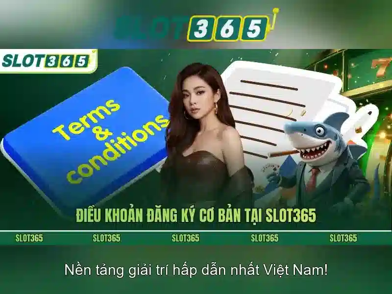 Giao diện và trải nghiệm người dùng