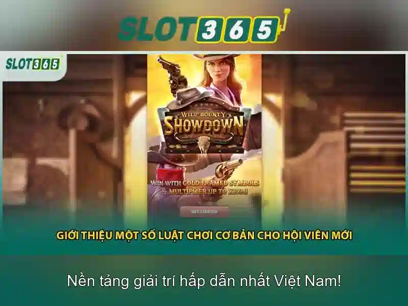 An toàn và cấp phép