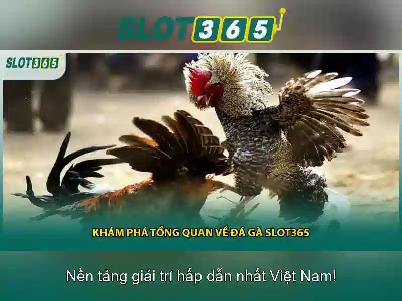 Sản phẩm và dịch vụ cốt lõi của Slot365 ios