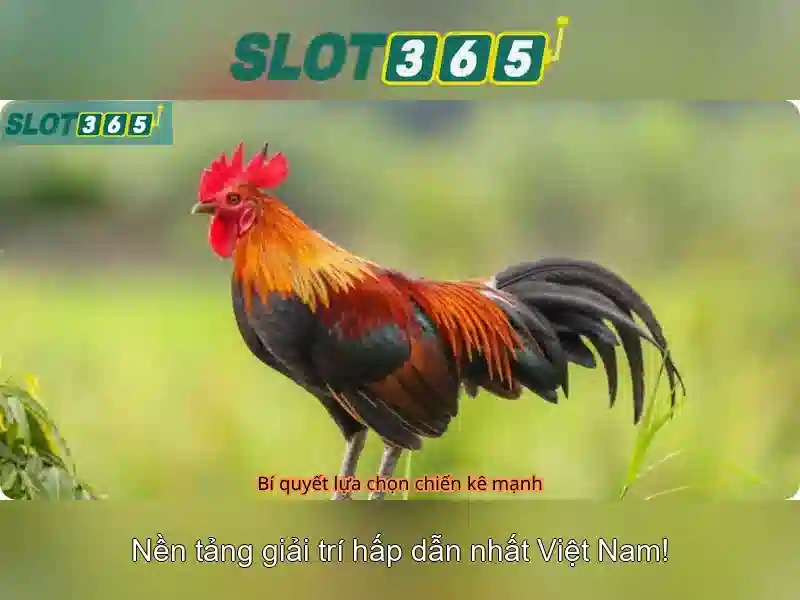 Slot365: Trải nghiệm slots trực tuyến đỉnh cao Giao diện nhà cái hoàn hảo