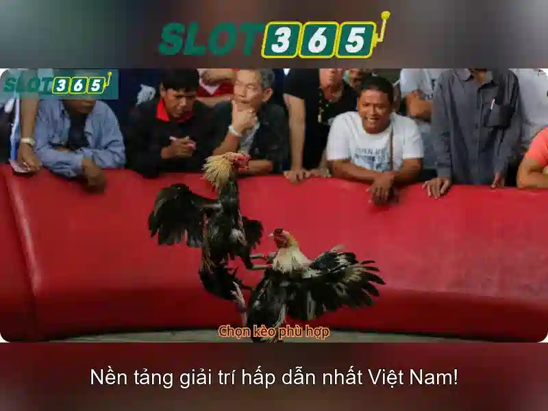 Slot365: Hướng dẫn và trải nghiệm chơi slot trực tuyến