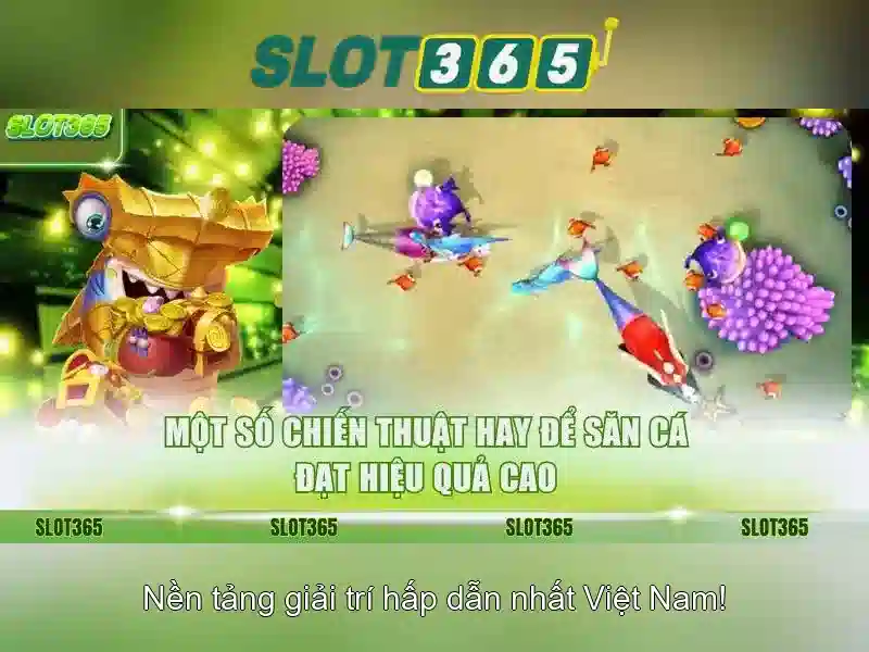 Một số tính năng và trải nghiệm người dùng