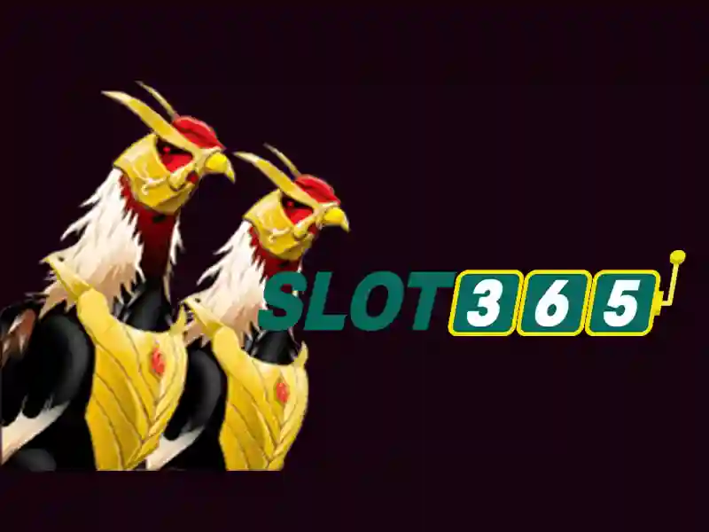 Slot365: Nền tảng giải trí xèng trực tuyến uy tín