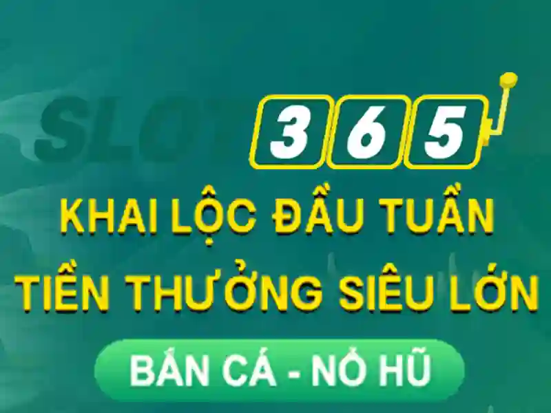 Cài đặt và trải nghiệm người dùng