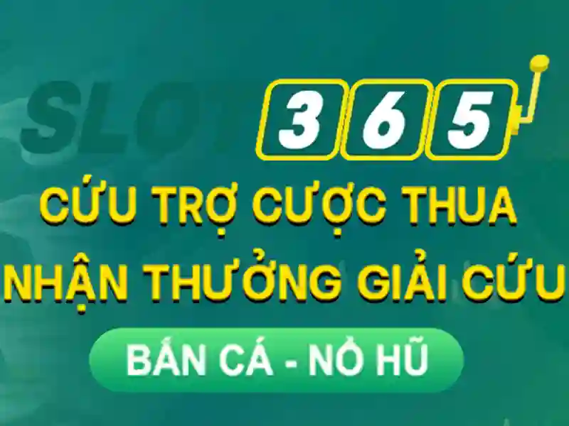 Trải nghiệm người dùng và phản hồi từ cộng đồng