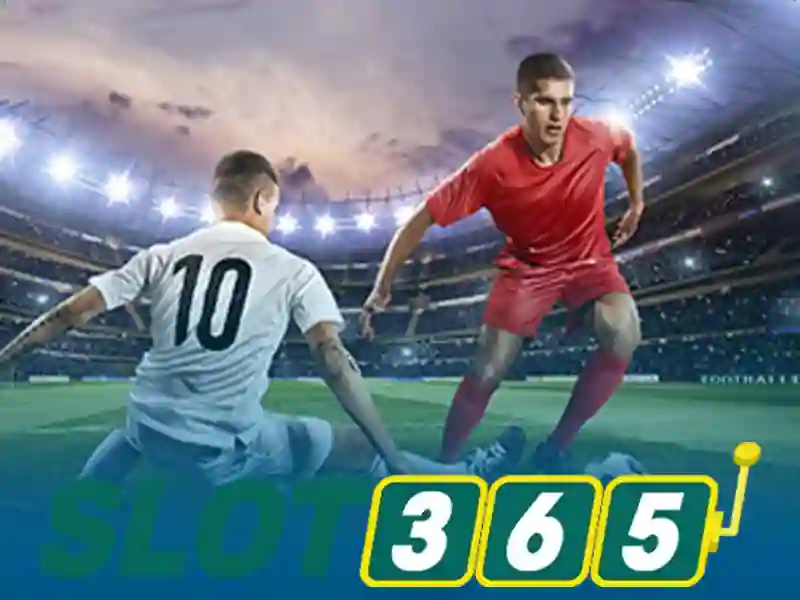 Tổng quan về Slot365