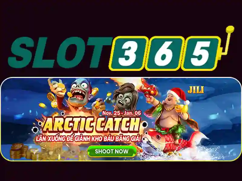 slot365 rtp – Trải nghiệm người dùng và phản hồi cộng đồng