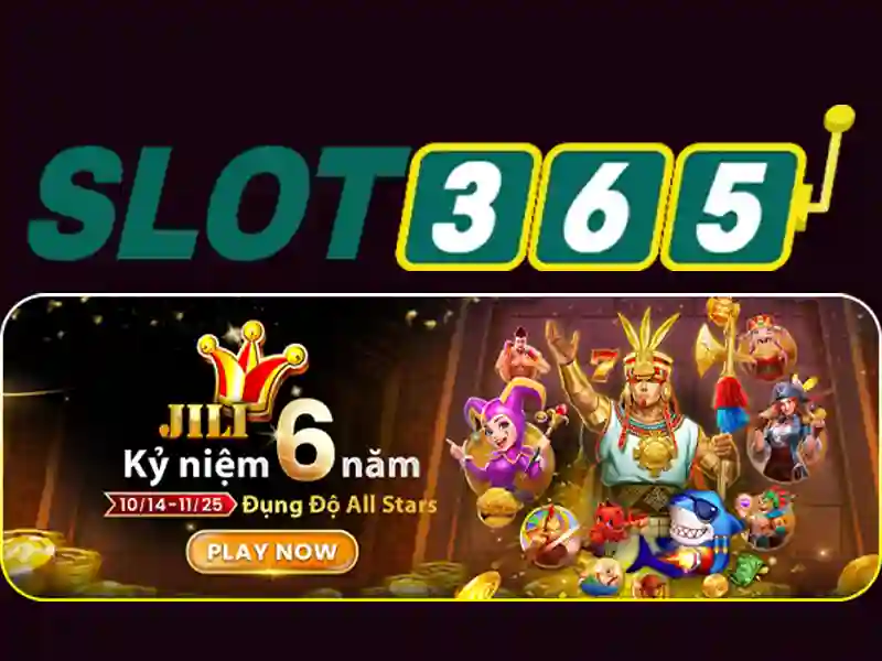 Hỗ trợ khách hàng và trải nghiệm người dùng